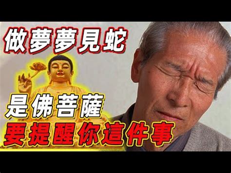 看見蛇|【看到蛇代表什麼】看到蛇代表什麼？民俗專家揭秘：。